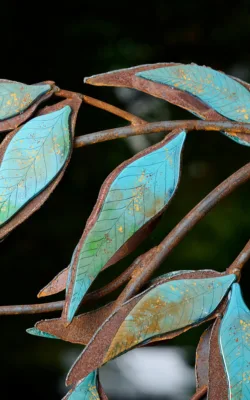 Blue Gum Dreaming by Tim Read
