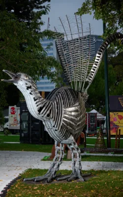 bright eyes (lyrebird) by Neil Findley