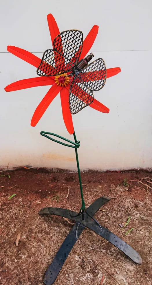 Bronze wing butterfly on flower by Graeme Hardidge