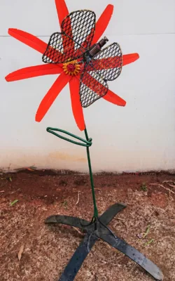 Bronze wing butterfly on flower by Graeme Hardidge