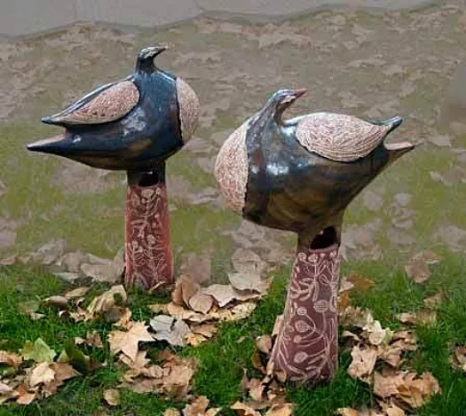Bronzewing Pair by Fatih  Semiz