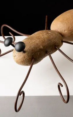 Bruce the Spider by Joseph Apollonio