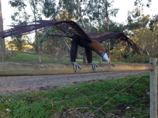 Bunjil by Vicki Combridge