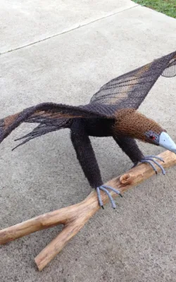 Bunjil by Vicki Combridge