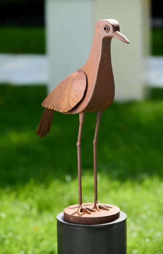 Bush Stone Curlew by Andre Sardone