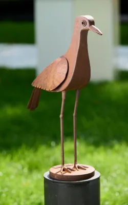 Bush Stone Curlew by Andre Sardone