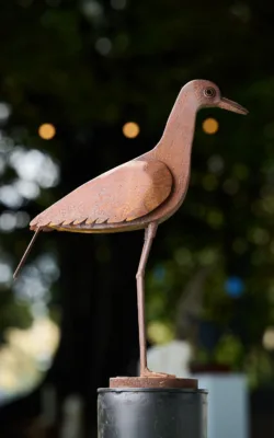 Bush Stone Curlew by Andre Sardone