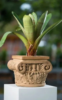 Capital #2 by Susie Ashkenazi