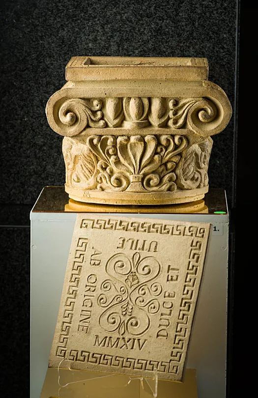 Capital by Susie Ashkenazi