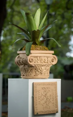 Capital by Susie Ashkenazi