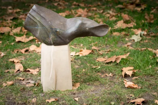 Cascade by Ioanna Thymianidis