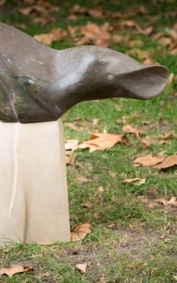 Cascade by Ioanna Thymianidis