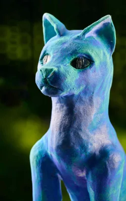 Cat by Heather Wilson