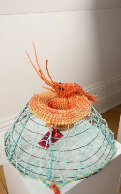 Catch of the day by Jo Jo Spook