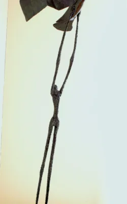 Catching Flight by Paul Cacioli