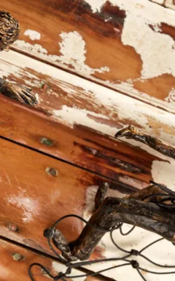 Caught Up by Lucinda Brash