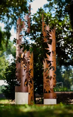 Caulfield Park Maple Swirl by Helen Neyland by Helen Neyland