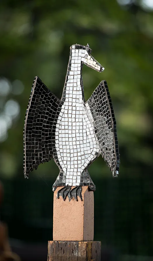 Cecil the Cormorant by Bronwyn Culshaw