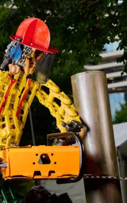 Chainsaw man by Neil Findley
