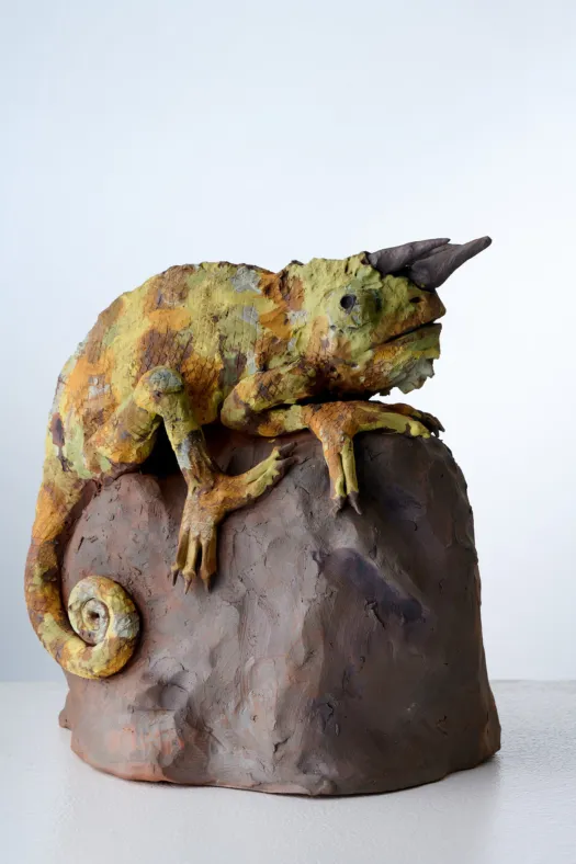Chameleon by Heather Wilson