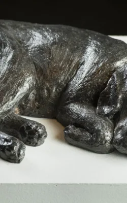 Chasing Rabbits by Lucinda Brash