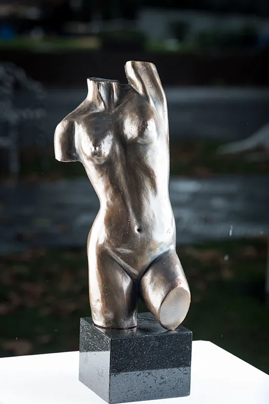 Classic Torso by Eva Ermer
