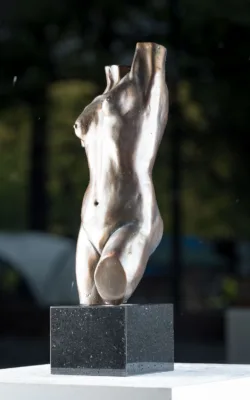 Classic Torso by Eva Ermer