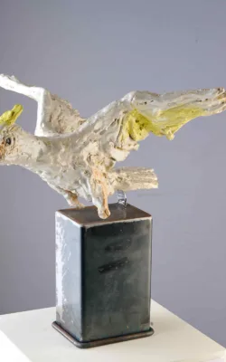 Cocky by Alison Parkinson