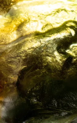 Contemplating the Finite by Jenny Rickards