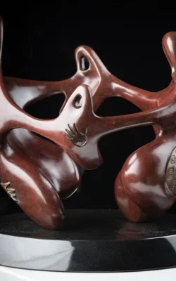 Corroboree Dance - Is a collaboration with aboriginal artist - Walangari Karntawarra by Todd Lyndon Stuart