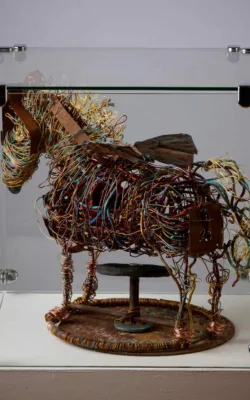 Cullings of Brumbies & Obsolete Modes of Transport by Wendy Reiss
