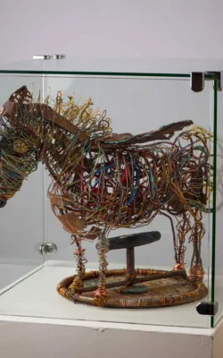 Cullings of Brumbies & Obsolete Modes of Transport by Wendy Reiss