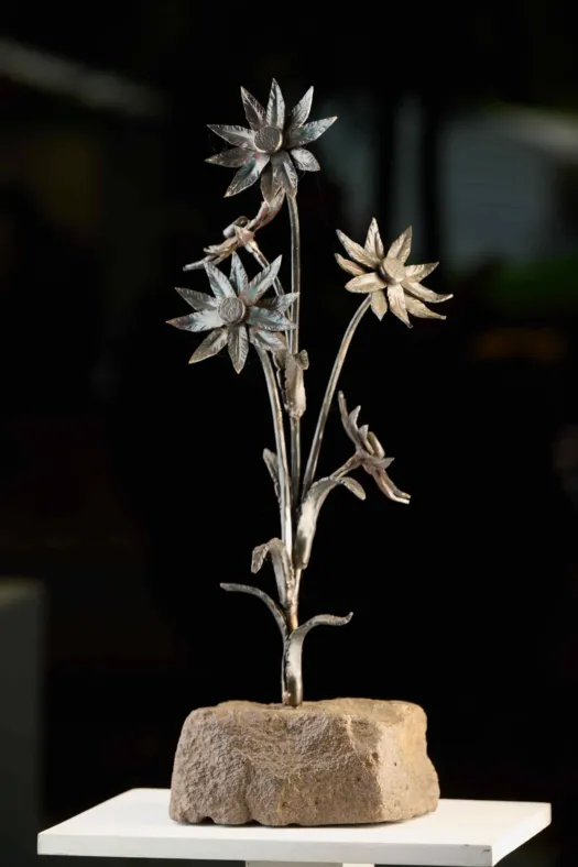 Daiseys by Paul Cacioli