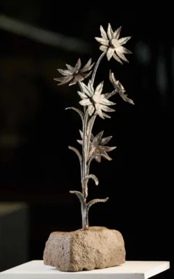 Daiseys by Paul Cacioli