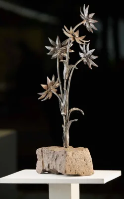 Daiseys by Paul Cacioli