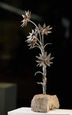 Daiseys by Paul Cacioli