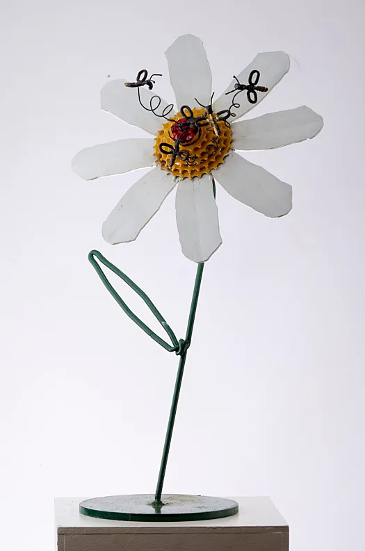 Daisy Bees by Graeme Hardidge