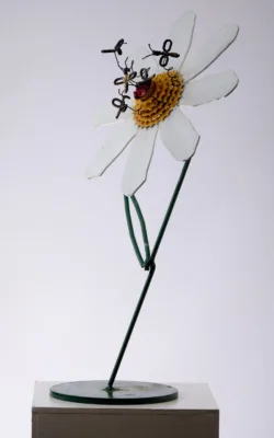 Daisy Bees by Graeme Hardidge