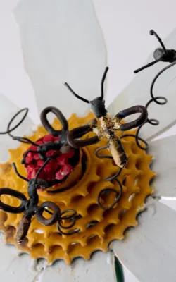 Daisy Bees by Graeme Hardidge