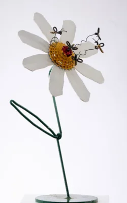Daisy Bees by Graeme Hardidge