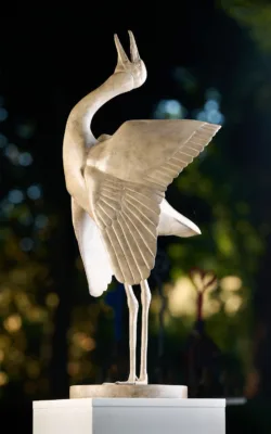 Dancing Brolga by Lucy McEachern