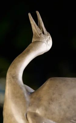 Dancing Brolga by Lucy McEachern