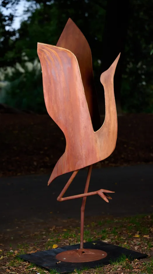 Dancing Brolga by Ronald Ahl