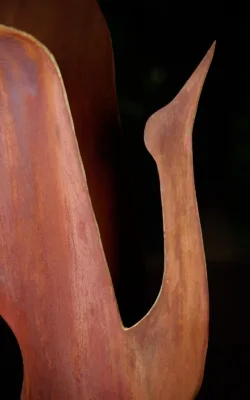 Dancing Brolga by Ronald Ahl