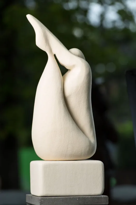 Diver by Clare Collins