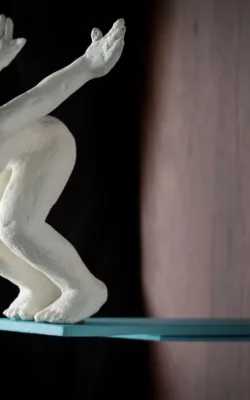 Diving in by Lucinda Brash