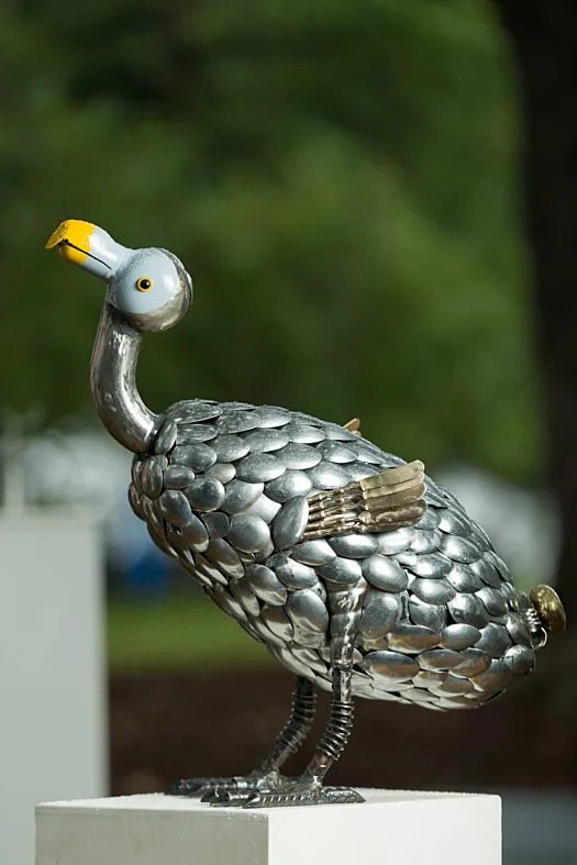Dodo by Lawrence Marshall