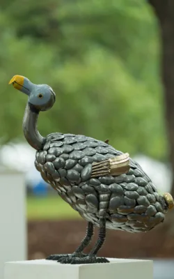 Dodo by Lawrence Marshall