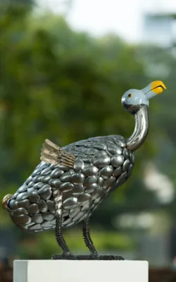 Dodo by Lawrence Marshall