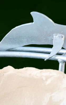 Dolphin Birdbath by Graham Duell